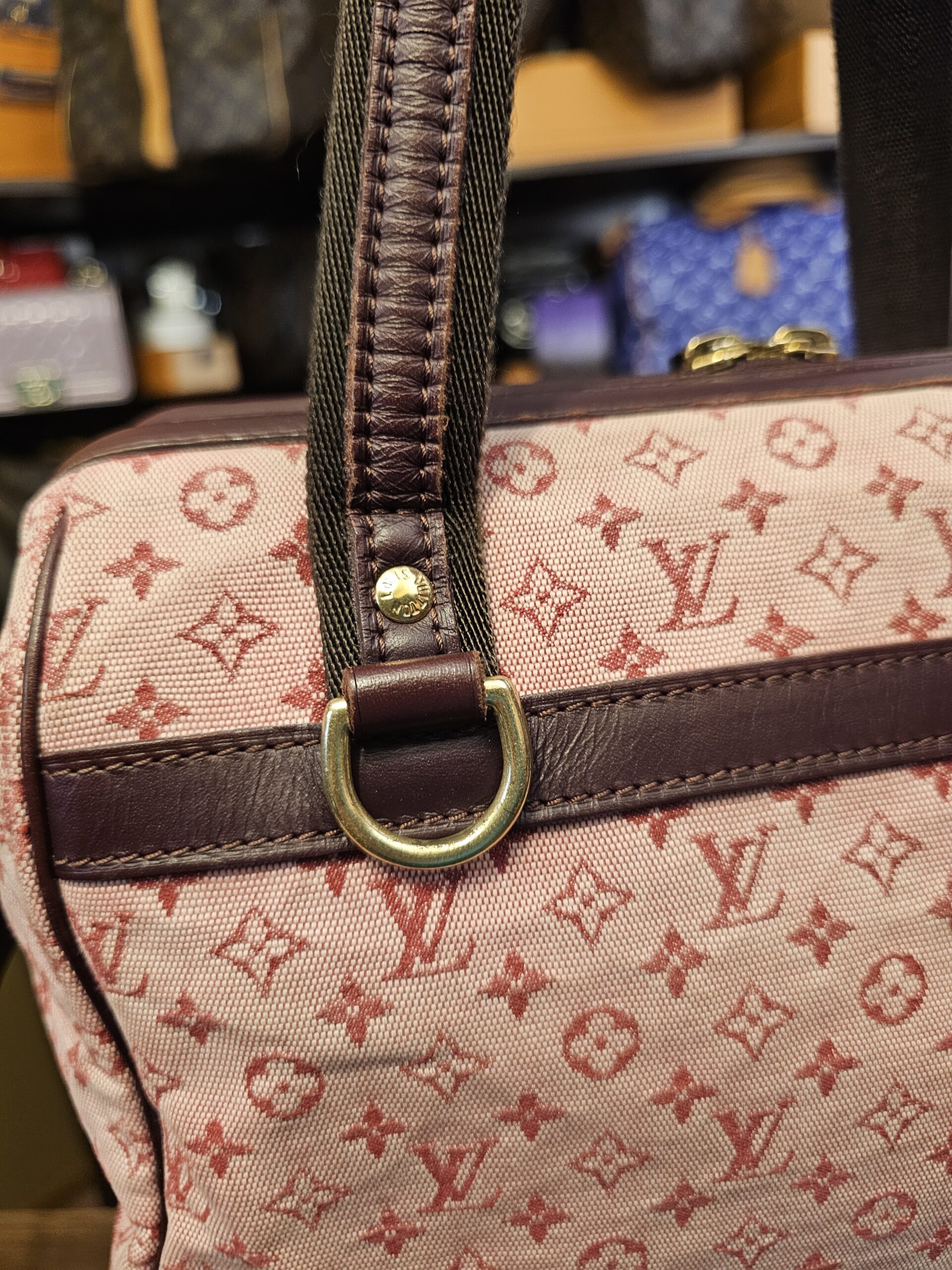 D ring and strap close up