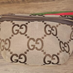 The belt bag, front view